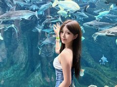 -波塞冬旅游度假区