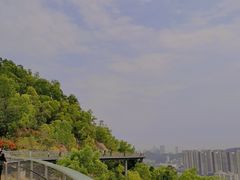 -板樟山森林公园