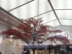 -艾薯夫妇Aysh(福田星河COCOPark店)