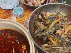 -金海椒罐罐鲢鱼(东方桂苑店)