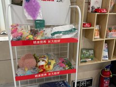 -谐和益家动物医院·免疫绝育·血液透析·宠保定点医院(高新伊藤分院)