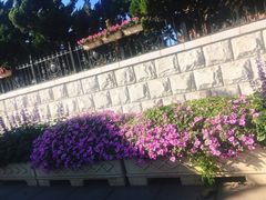 -大连人民广场