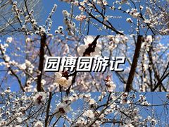 -河北省园博园