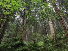 -管涔山