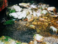 -九龙潭景区