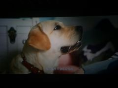 -星河国际影城(新会店)