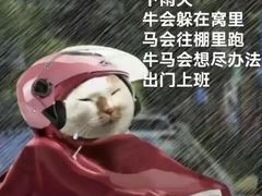 -星巴克(广州动漫星城东区店)