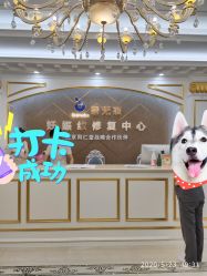 -碧无痕妊娠纹修复中心