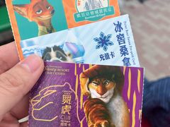 -上海迪士尼度假区