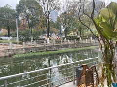 -鞠橘居酒屋(仁恒江湾新天地店)