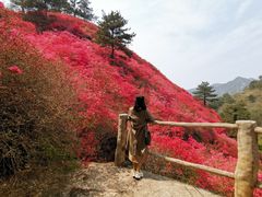 -木兰云雾山