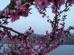 -河口景区