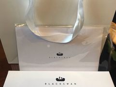 -BLACKSWAN黑天鹅(环球店)
