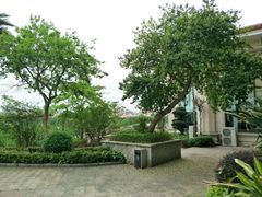 -鹤山碧桂园凤凰酒店