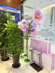 -洁铭新加坡医美