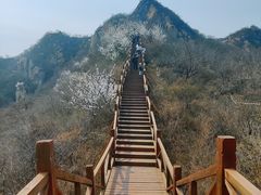 -大岭沟猕猴桃谷风景区