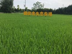 -迪茵湖田家舍生态农场