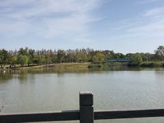 -上海长兴岛郊野公园