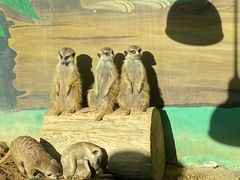 -秦皇岛野生动物园