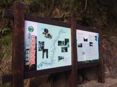 -花岩国家森林公园