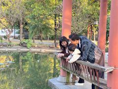 -广州神农草堂中医药博物馆