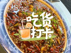 -新概念来凤鱼(璧山店)