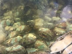 -四海鲜渔家菜(黄金海岸店)