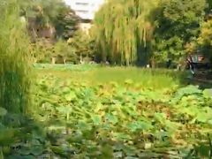 -莲湖公园