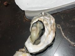 -黄三怪(清河店)