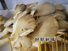 -俭让佬妈现卤串串(温江总店)