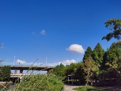 -映月湖中央公园