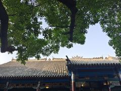 -张学良旧居陈列馆(大帅府)