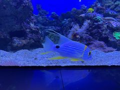 -成都浩海立方海洋公园