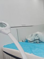 -蕾特恩祛痘•皮肤管理