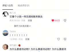 -锦艺城海洋馆