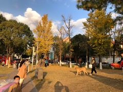 -美兰湖景区