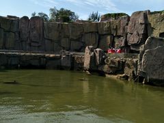 -哈尔滨文化公园