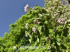 -香山公园