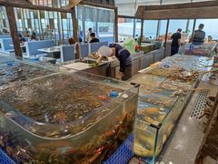 -半岛听涛蒸汽海鲜自助(K11店)