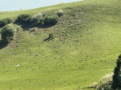 -新疆那拉提国家旅游度假区