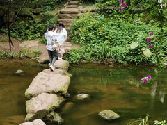 -重庆彩云湖湿地公园