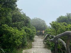 -梧桐山风景名胜区