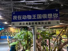 -海合安武汉极地海洋公园