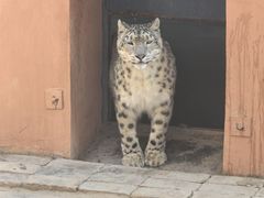 -青藏高原野生动物园