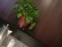 -半天妖烤鱼(安丘泰华城店)