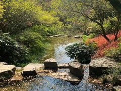 -杭州半山国家森林公园