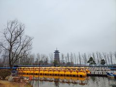 -洋湖国家湿地公园