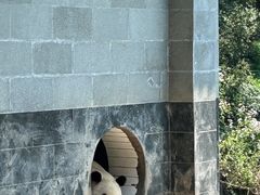 -碧峰峡风景区
