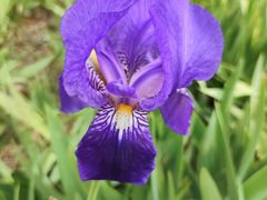 -石家庄市植物园