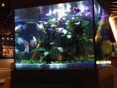 -大家乐(广州天河城六楼店)